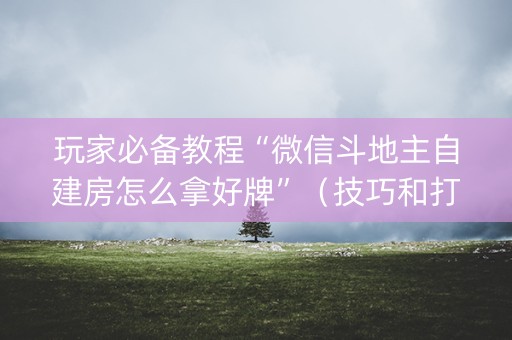 玩家必备教程“微信斗地主自建房怎么拿好牌”（技巧和打好牌方法)