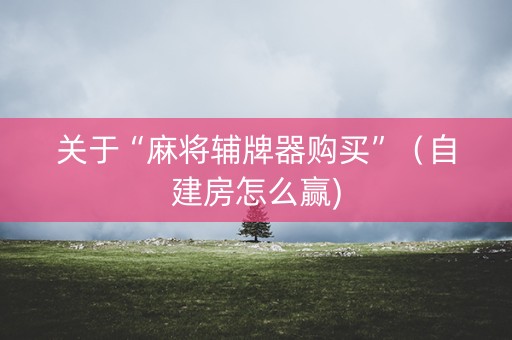 关于“麻将辅牌器购买”（自建房怎么赢)