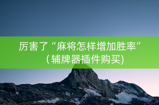 厉害了“麻将怎样增加胜率”（辅牌器插件购买)