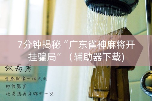 7分钟揭秘“广东雀神麻将开挂骗局”（辅助器下载)