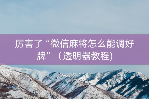 厉害了“微信麻将怎么能调好牌”（透明器教程)