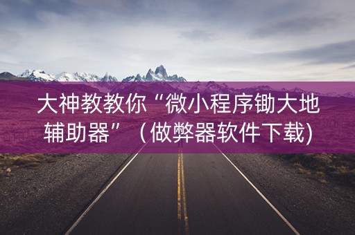 大神教教你“微小程序锄大地辅助器”（做弊器软件下载)