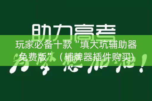 玩家必备十款“填大坑辅助器免费版”（辅牌器插件购买)