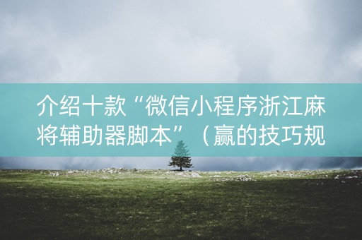 介绍十款“微信小程序浙江麻将辅助器脚本”（赢的技巧规律)