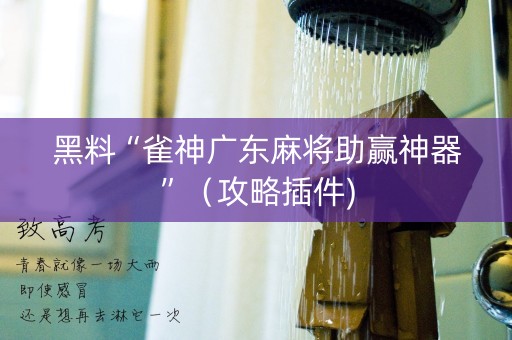 黑料“雀神广东麻将助赢神器”（攻略插件)