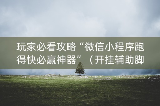 玩家必看攻略“微信小程序跑得快必赢神器”（开挂辅助脚本)