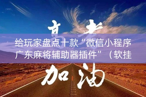 给玩家盘点十款“微信小程序广东麻将辅助器插件”（软挂神器)