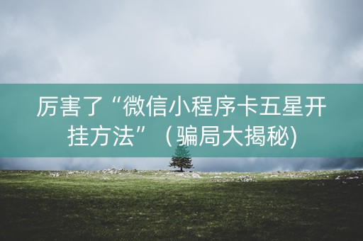 厉害了“微信小程序卡五星开挂方法”（骗局大揭秘)