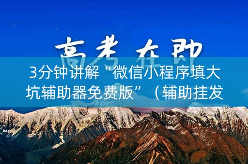3分钟讲解“微信小程序填大坑辅助器免费版”（辅助挂发牌规律)