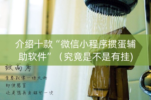 介绍十款“微信小程序掼蛋辅助软件”（究竟是不是有挂)