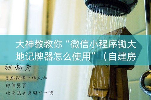 大神教教你“微信小程序锄大地记牌器怎么使用”（自建房胜负规律)