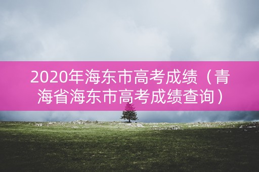 2020年海东市高考成绩（青海省海东市高考成绩查询）