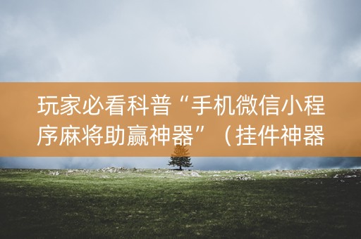 玩家必看科普“手机微信小程序麻将助赢神器”（挂件神器)