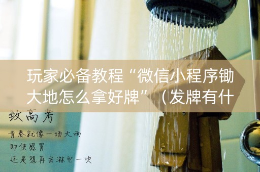 玩家必备教程“微信小程序锄大地怎么拿好牌”（发牌有什么规律吗)