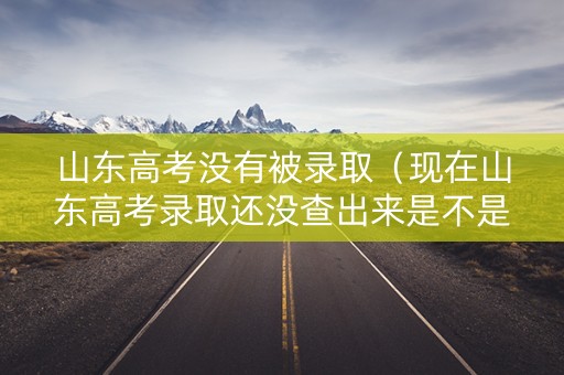 山东高考没有被录取（现在山东高考录取还没查出来是不是没考上）