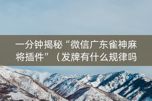 一分钟揭秘“微信广东雀神麻将插件”（发牌有什么规律吗)