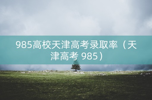 985高校天津高考录取率（天津高考 985）
