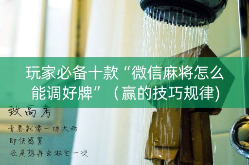 玩家必备十款“微信麻将怎么能调好牌”（赢的技巧规律)