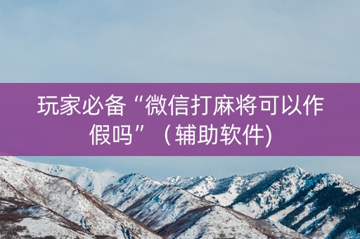 玩家必备“微信打麻将可以作假吗”（辅助软件)
