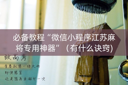 必备教程“微信小程序江苏麻将专用神器”（有什么诀窍)