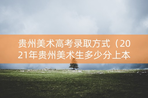 贵州美术高考录取方式（2021年贵州美术生多少分上本科）