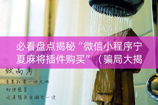 必看盘点揭秘“微信小程序宁夏麻将插件购买”（骗局大揭秘)