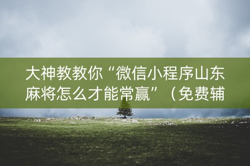 大神教教你“微信小程序山东麻将怎么才能常赢”（免费辅助)