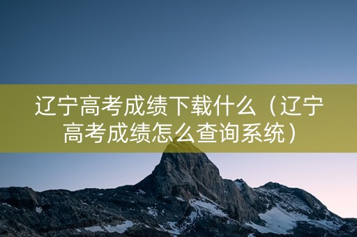 辽宁高考成绩下载什么（辽宁高考成绩怎么查询系统）