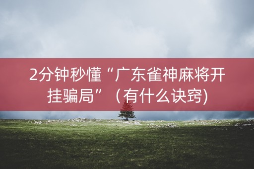 2分钟秒懂“广东雀神麻将开挂骗局”（有什么诀窍)