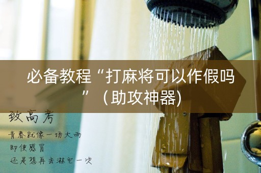 必备教程“打麻将可以作假吗”（助攻神器)