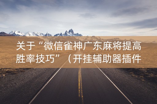 关于“微信雀神广东麻将提高胜率技巧”（开挂辅助器插件)