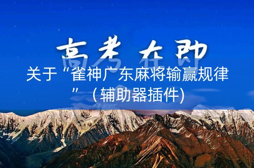 关于“雀神广东麻将输赢规律”（辅助器插件)