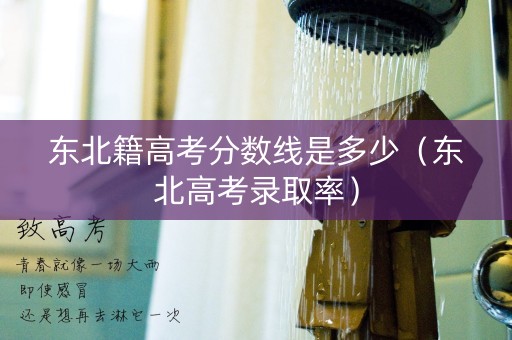 东北籍高考分数线是多少（东北高考录取率）