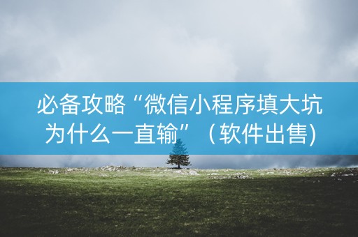 必备攻略“微信小程序填大坑为什么一直输”（软件出售)