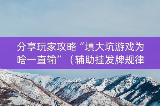 分享玩家攻略“填大坑游戏为啥一直输”（辅助挂发牌规律)