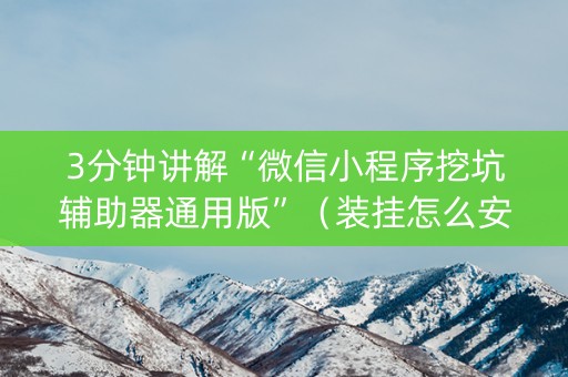 3分钟讲解“微信小程序挖坑辅助器通用版”（装挂怎么安装)