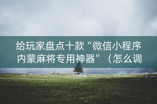 给玩家盘点十款“微信小程序内蒙麻将专用神器”（怎么调胜率)