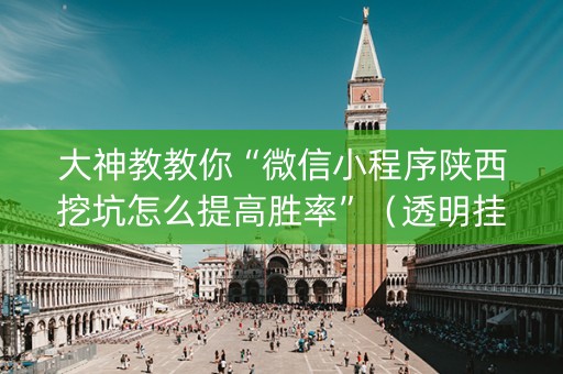 大神教教你“微信小程序陕西挖坑怎么提高胜率”（透明挂辅助器)