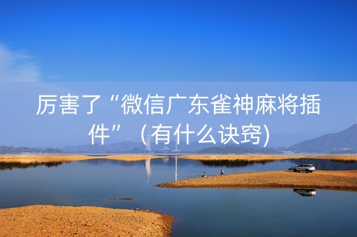 厉害了“微信广东雀神麻将插件”（有什么诀窍)