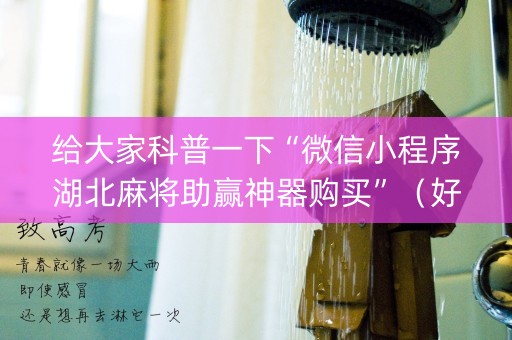 给大家科普一下“微信小程序湖北麻将助赢神器购买”（好友房怎么才能赢)