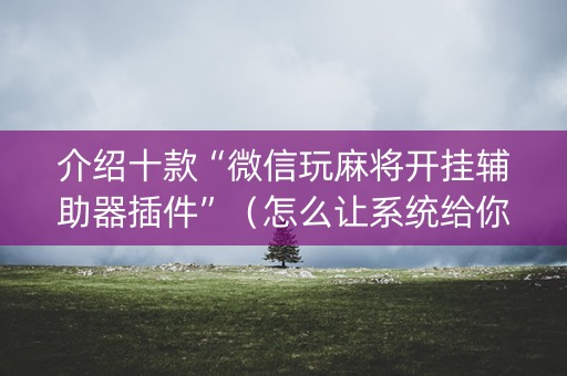 介绍十款“微信玩麻将开挂辅助器插件”（怎么让系统给你发好牌)