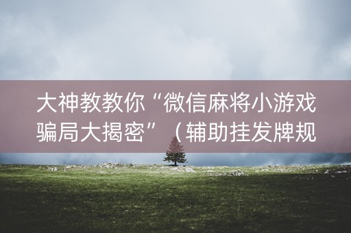 大神教教你“微信麻将小游戏骗局大揭密”（辅助挂发牌规律)