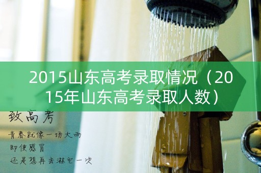 2015山东高考录取情况（2015年山东高考录取人数）