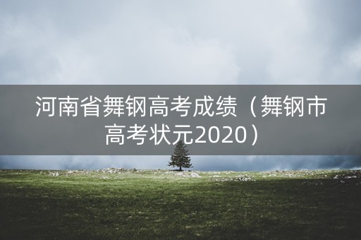 河南省舞钢高考成绩（舞钢市高考状元2020）