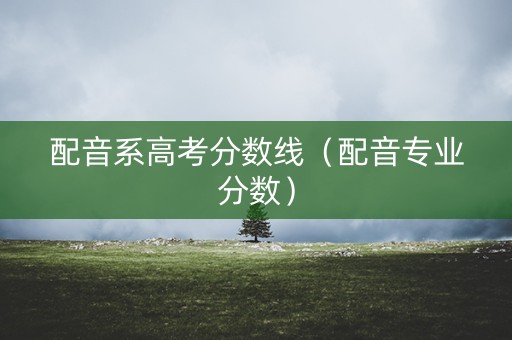 配音系高考分数线（配音专业分数）