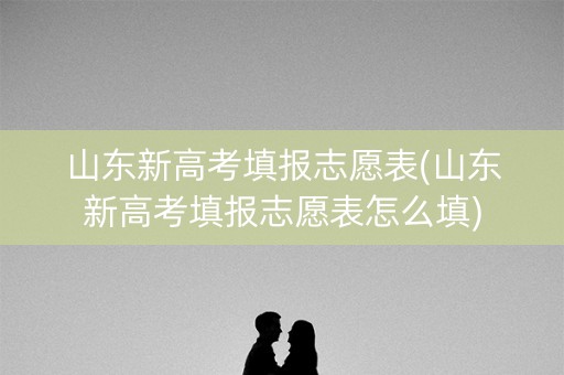 山东新高考填报志愿表(山东新高考填报志愿表怎么填)