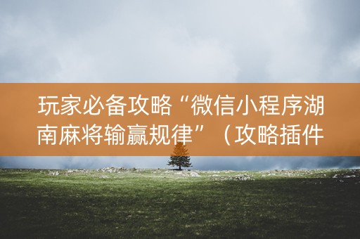 玩家必备攻略“微信小程序湖南麻将输赢规律”（攻略插件)