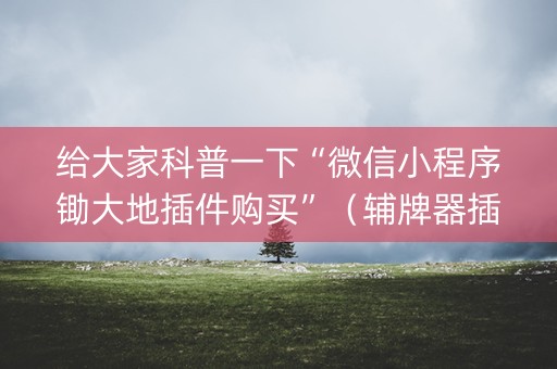 给大家科普一下“微信小程序锄大地插件购买”（辅牌器插件购买)