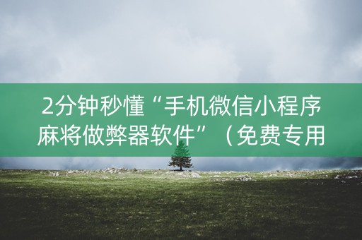 2分钟秒懂“手机微信小程序麻将做弊器软件”（免费专用神器)