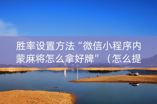 胜率设置方法“微信小程序内蒙麻将怎么拿好牌”（怎么提高胜率)
